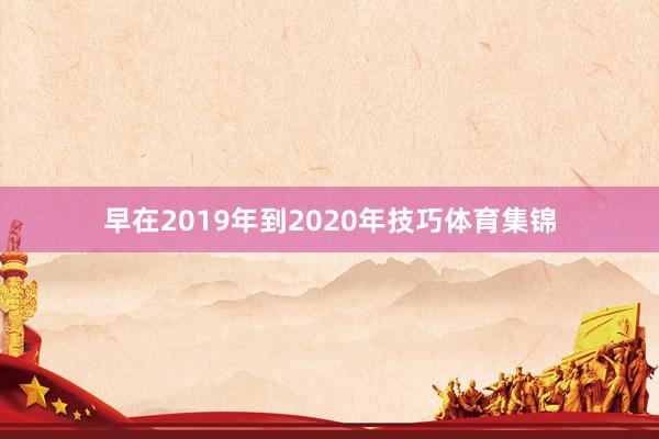 早在2019年到2020年技巧体育集锦