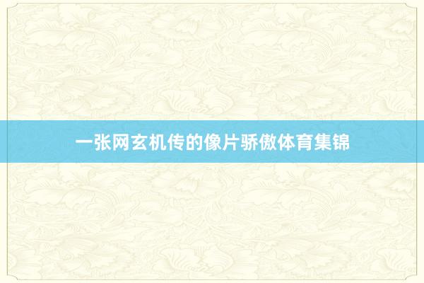 一张网玄机传的像片骄傲体育集锦