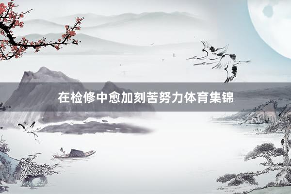 在检修中愈加刻苦努力体育集锦