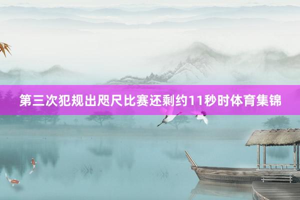 第三次犯规出咫尺比赛还剩约11秒时体育集锦