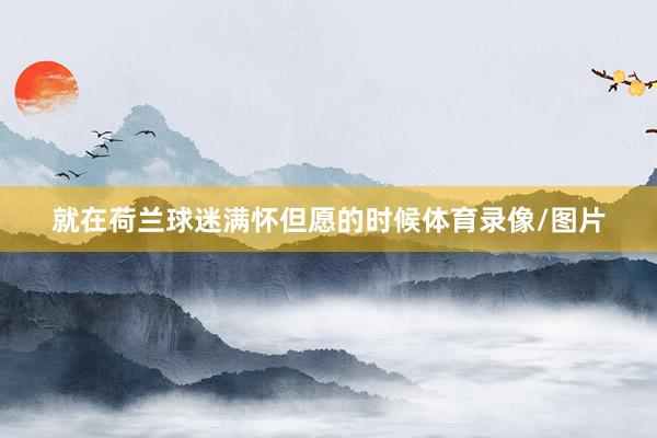 就在荷兰球迷满怀但愿的时候体育录像/图片