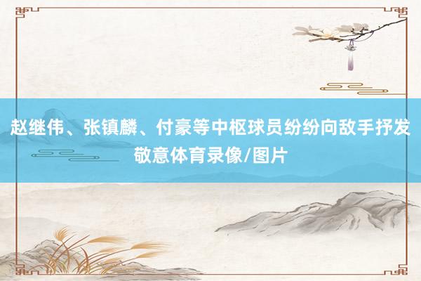 赵继伟、张镇麟、付豪等中枢球员纷纷向敌手抒发敬意体育录像/图片