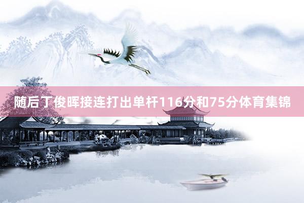 随后丁俊晖接连打出单杆116分和75分体育集锦