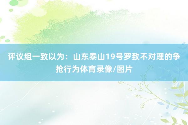 评议组一致以为：山东泰山19号罗致不对理的争抢行为体育录像/图片