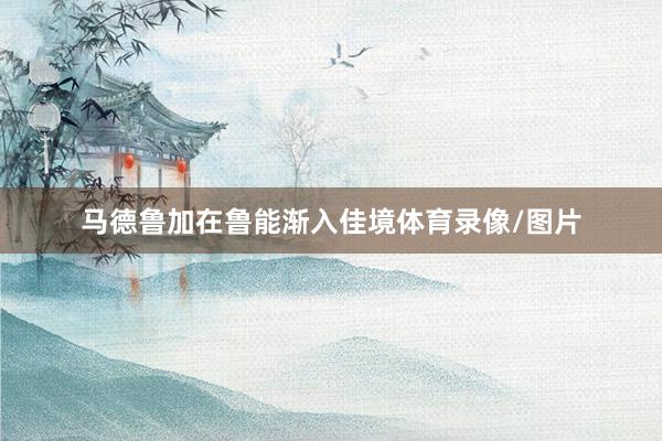 马德鲁加在鲁能渐入佳境体育录像/图片