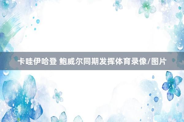 卡哇伊哈登 鲍威尔同期发挥体育录像/图片