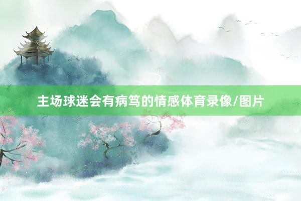 主场球迷会有病笃的情感体育录像/图片