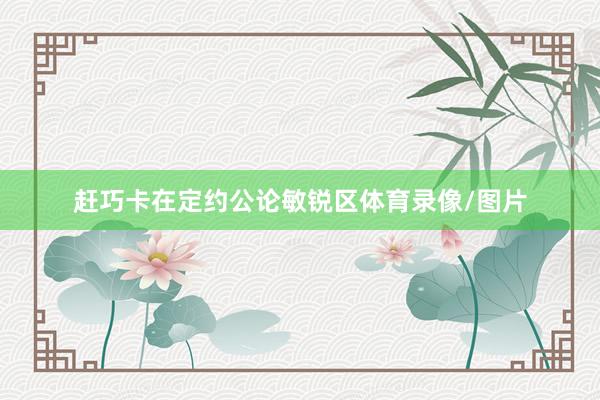 赶巧卡在定约公论敏锐区体育录像/图片