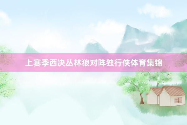 上赛季西决丛林狼对阵独行侠体育集锦