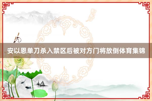 安以恩单刀杀入禁区后被对方门将放倒体育集锦