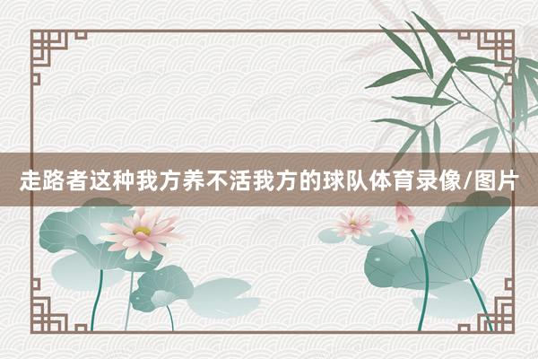 走路者这种我方养不活我方的球队体育录像/图片