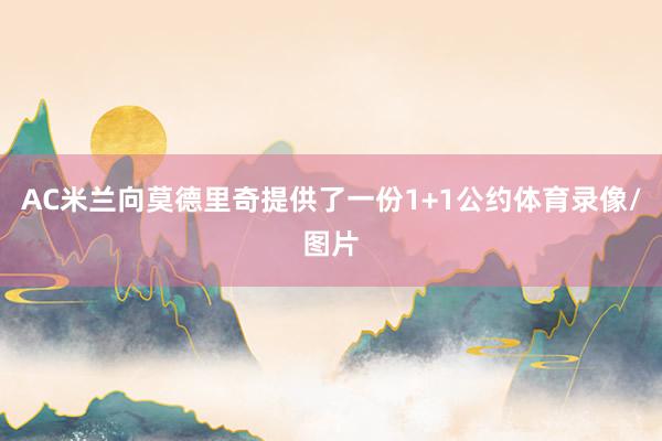 AC米兰向莫德里奇提供了一份1+1公约体育录像/图片