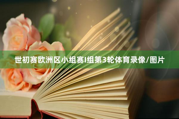 世初赛欧洲区小组赛I组第3轮体育录像/图片