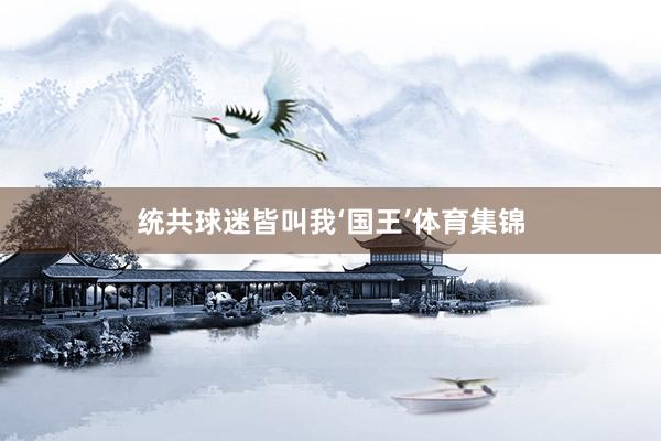 统共球迷皆叫我‘国王’体育集锦
