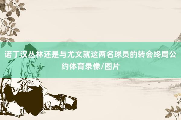 诺丁汉丛林还是与尤文就这两名球员的转会终局公约体育录像/图片