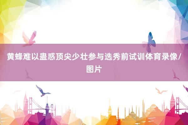 黄蜂难以蛊惑顶尖少壮参与选秀前试训体育录像/图片