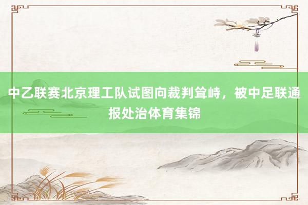中乙联赛北京理工队试图向裁判耸峙，被中足联通报处治体育集锦