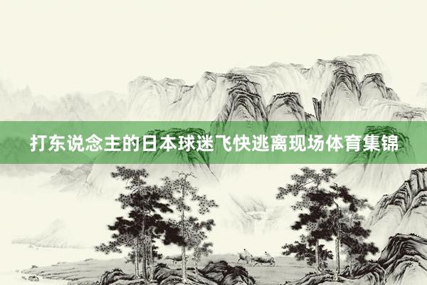打东说念主的日本球迷飞快逃离现场体育集锦