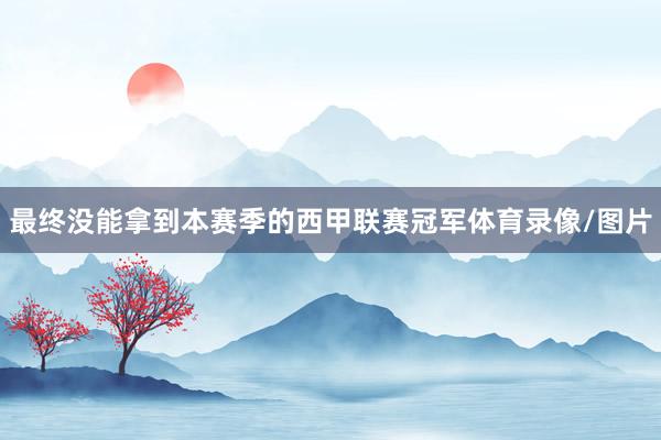 最终没能拿到本赛季的西甲联赛冠军体育录像/图片