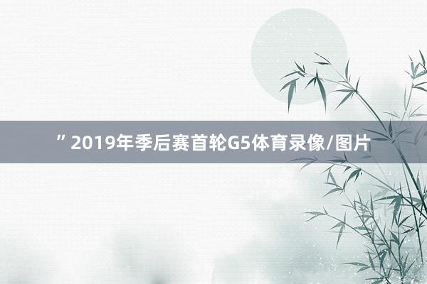 ”2019年季后赛首轮G5体育录像/图片