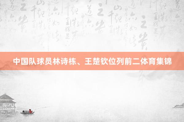 中国队球员林诗栋、王楚钦位列前二体育集锦