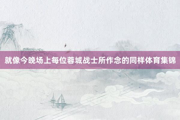 就像今晚场上每位蓉城战士所作念的同样体育集锦
