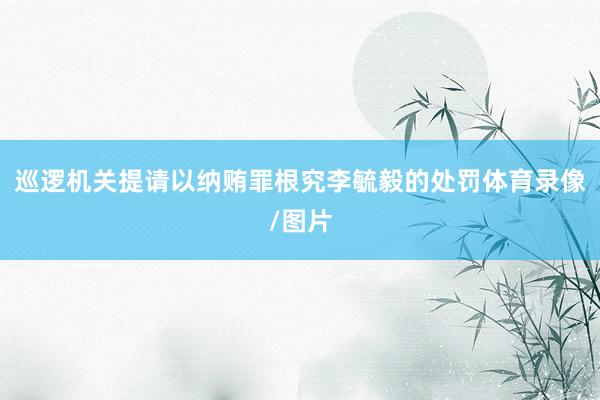 巡逻机关提请以纳贿罪根究李毓毅的处罚体育录像/图片