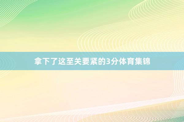 拿下了这至关要紧的3分体育集锦