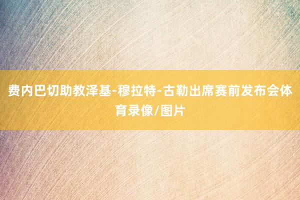 费内巴切助教泽基-穆拉特-古勒出席赛前发布会体育录像/图片