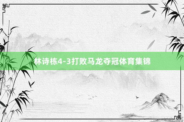林诗栋4-3打败马龙夺冠体育集锦