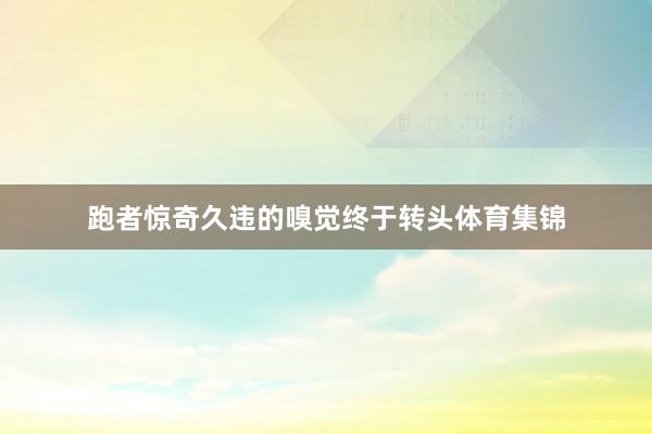跑者惊奇久违的嗅觉终于转头体育集锦