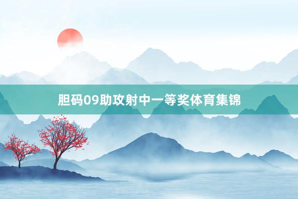 胆码09助攻射中一等奖体育集锦