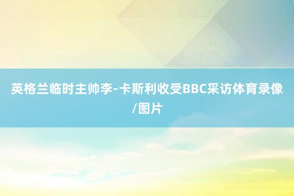 英格兰临时主帅李-卡斯利收受BBC采访体育录像/图片