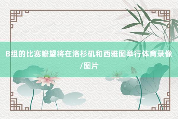 B组的比赛瞻望将在洛杉矶和西雅图举行体育录像/图片
