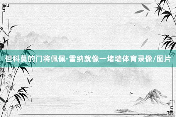 但科莫的门将佩佩·雷纳就像一堵墙体育录像/图片