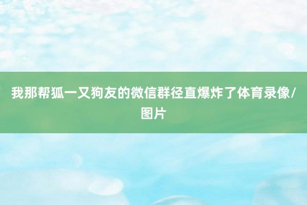 我那帮狐一又狗友的微信群径直爆炸了体育录像/图片