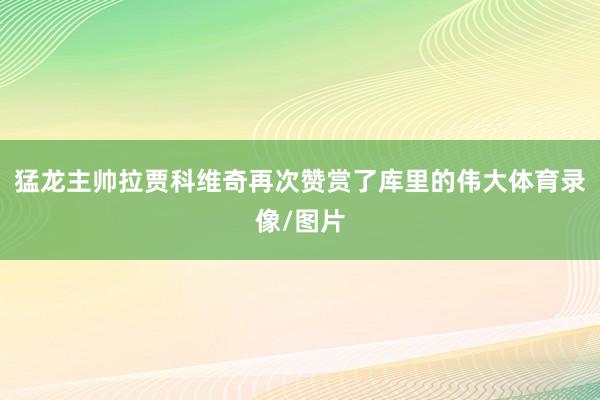 猛龙主帅拉贾科维奇再次赞赏了库里的伟大体育录像/图片