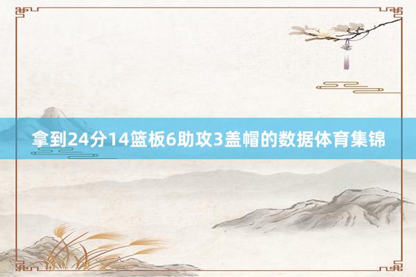 拿到24分14篮板6助攻3盖帽的数据体育集锦