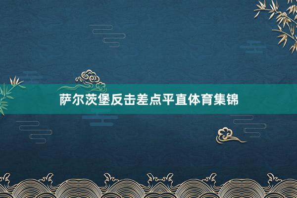 萨尔茨堡反击差点平直体育集锦