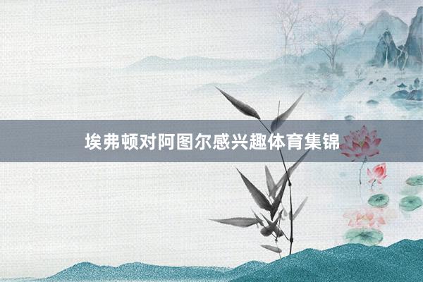 埃弗顿对阿图尔感兴趣体育集锦