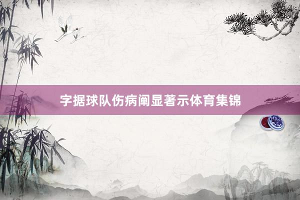 字据球队伤病阐显著示体育集锦