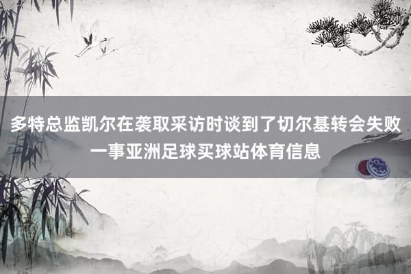 多特总监凯尔在袭取采访时谈到了切尔基转会失败一事亚洲足球买球站体育信息