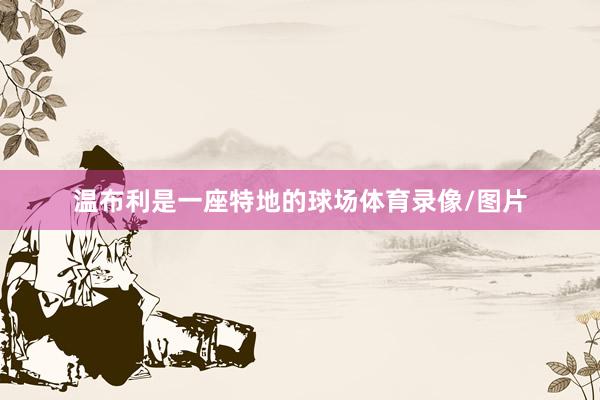 温布利是一座特地的球场体育录像/图片