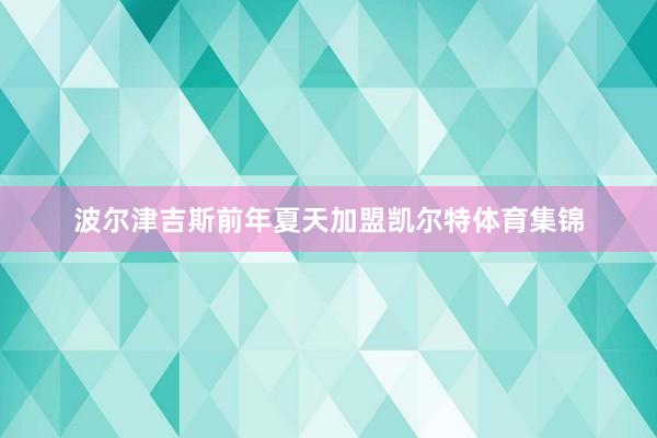 波尔津吉斯前年夏天加盟凯尔特体育集锦