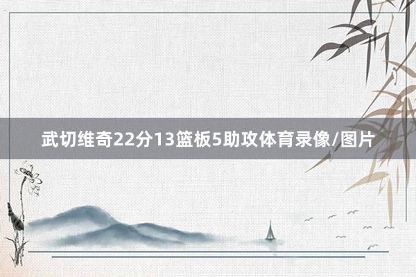 武切维奇22分13篮板5助攻体育录像/图片