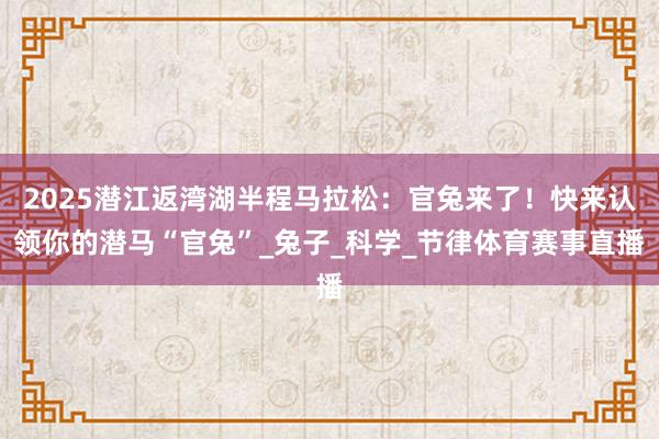 2025潜江返湾湖半程马拉松:官兔来了!快来认领你的潜马“官兔”_兔子_科学_节律体育赛事直播