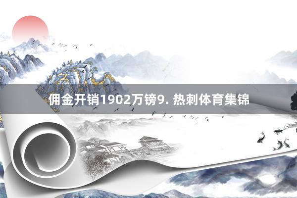 佣金开销1902万镑9. 热刺体育集锦