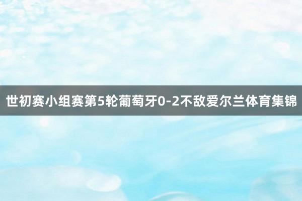 世初赛小组赛第5轮葡萄牙0-2不敌爱尔兰体育集锦