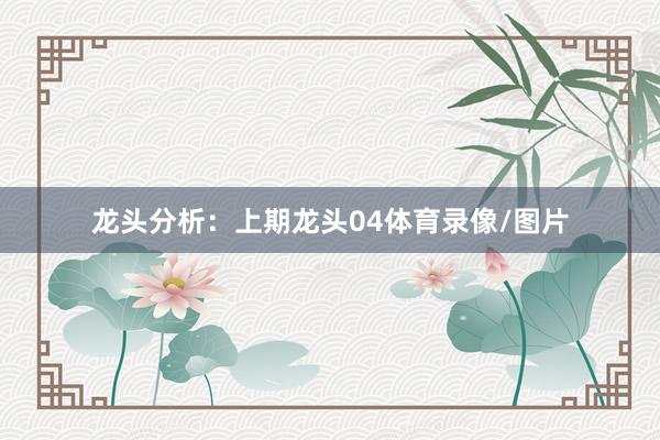 龙头分析：　　上期龙头04体育录像/图片