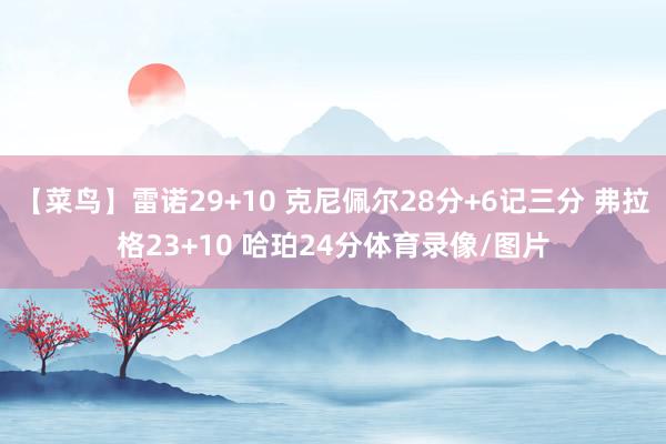 【菜鸟】雷诺29+10 克尼佩尔28分+6记三分 弗拉格23+10 哈珀24分体育录像/图片